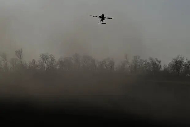    Источник: lenta.ru/ Елизавета Кошелева