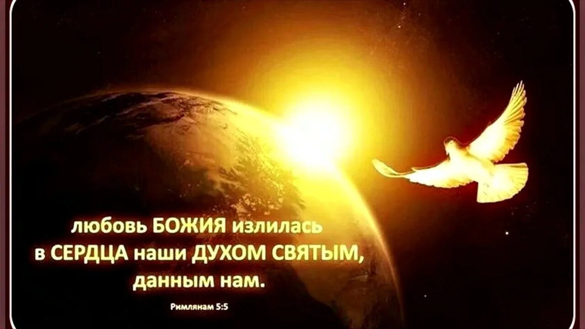 Из открытых источников Янлекса.