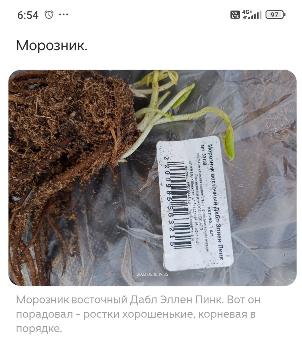 Скриншот с моей старой статьи