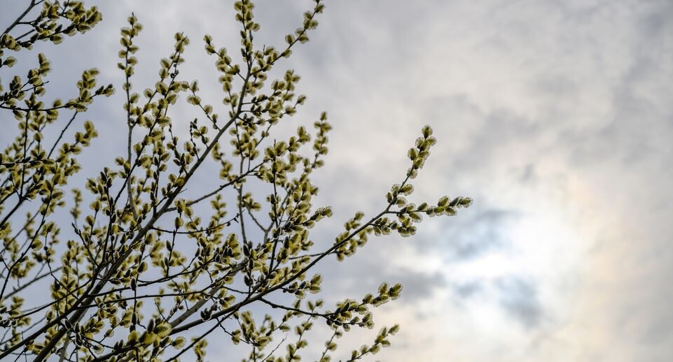    Медиасток.рф