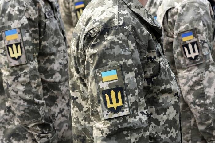 Обложка © Shutterstock / FOTODOM / Bumble Dee