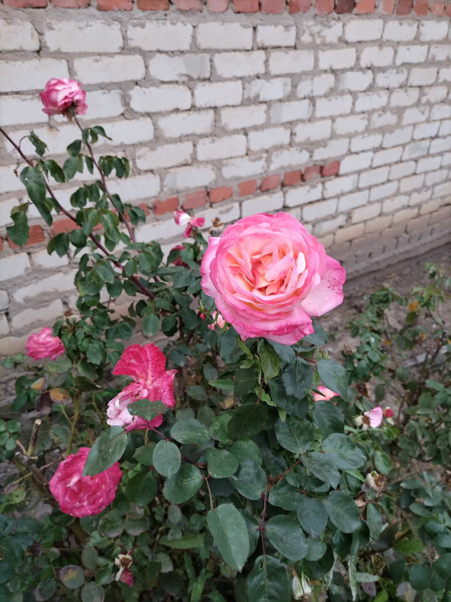 Личное фото