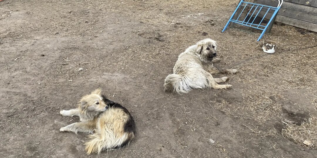 Продержаться еще неделю. Сборы продолжаются.