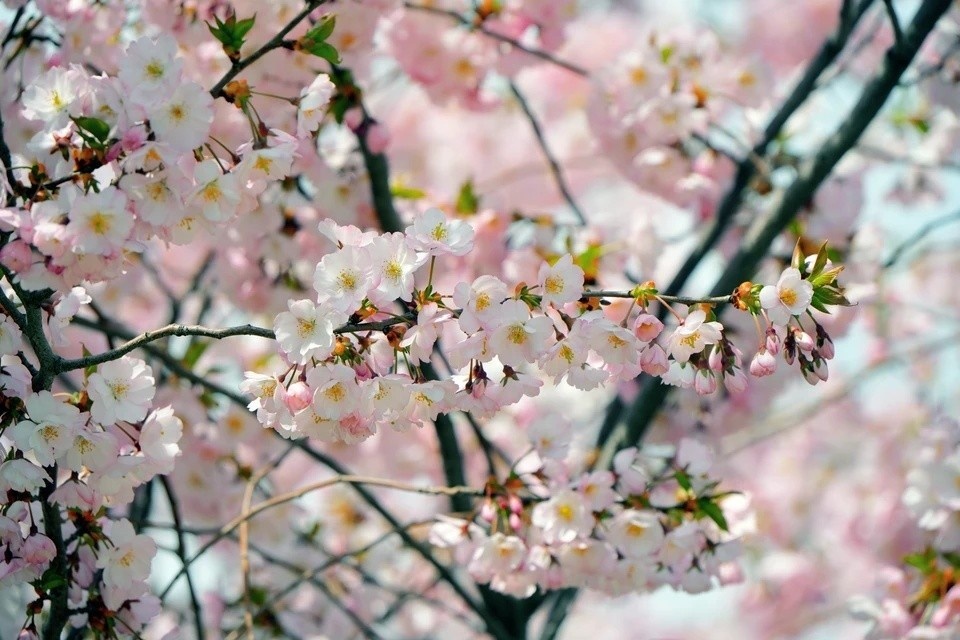    В течение дня будет переменная облачность, но, по прогнозам синоптиков, никаких осадков не предвидится Александр ИВАНОВ
