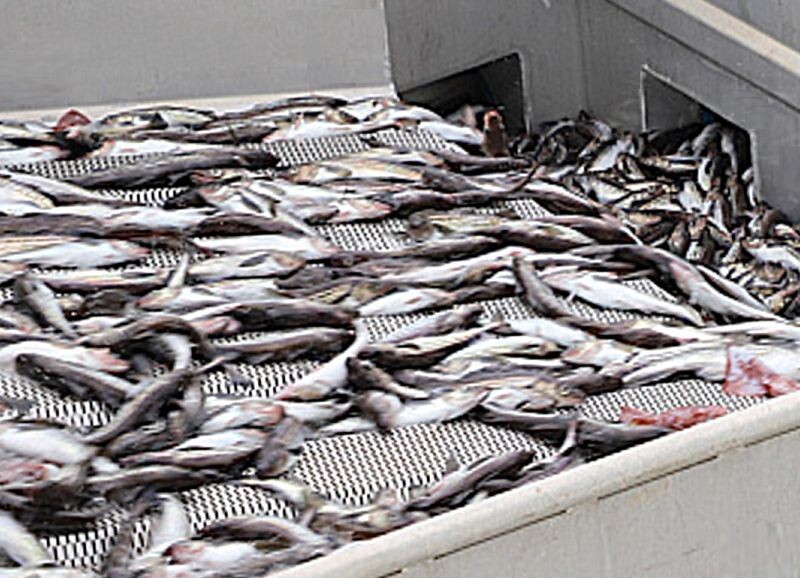    Фото сайта Минсельхоза РФ admin