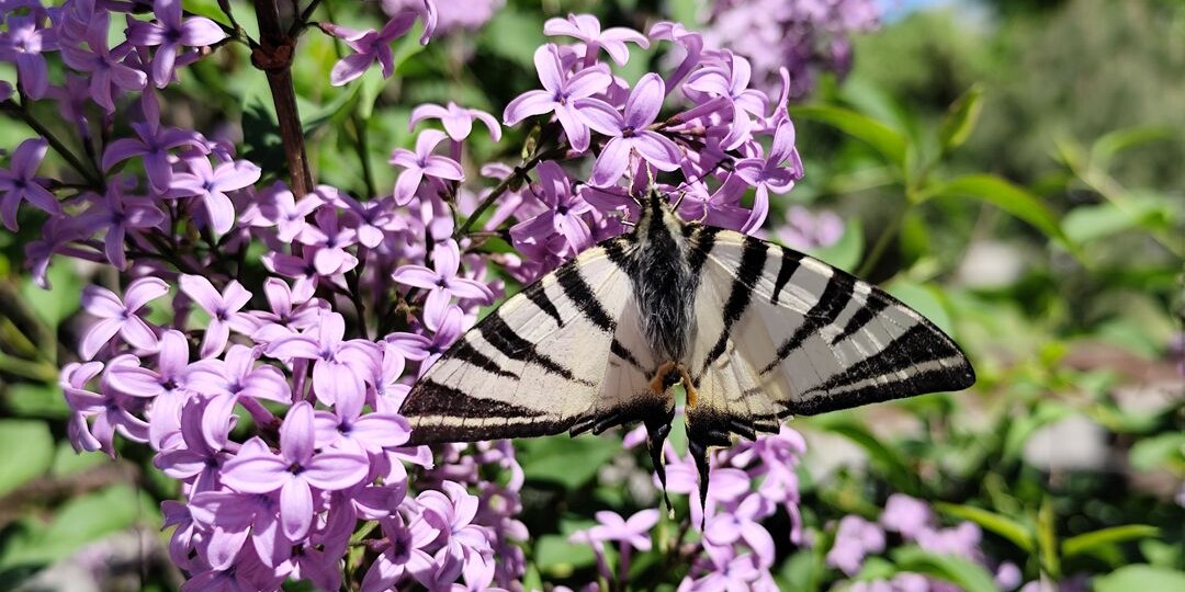 Существенное потепление ожидается только между майскими праздниками в Ростове
