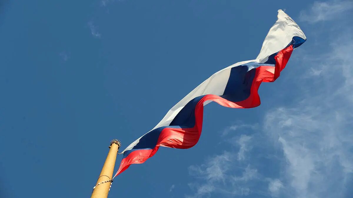    Источник: vm.ru/ Вероника