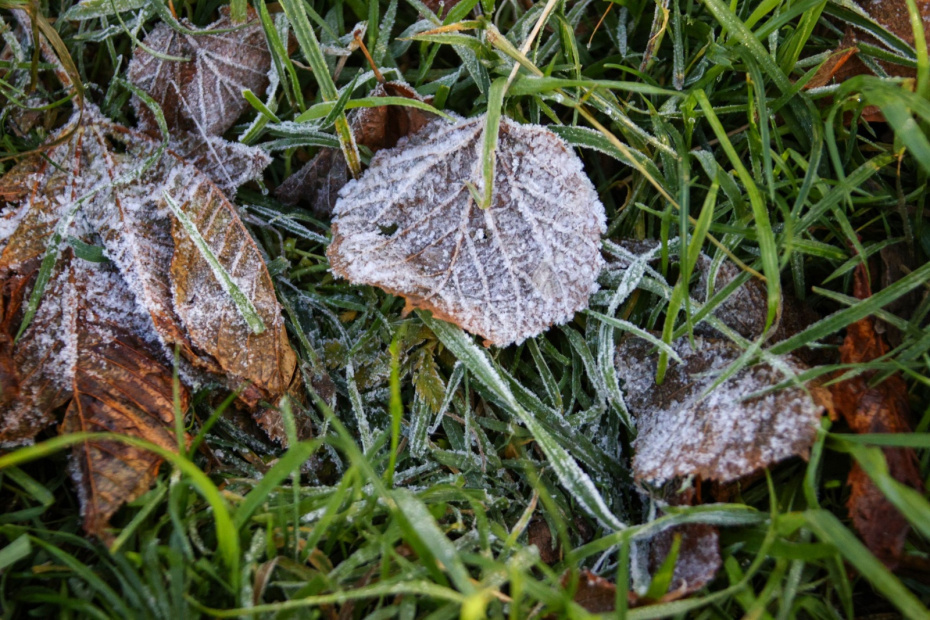    Сергей Лантюхов/NEWS.ru