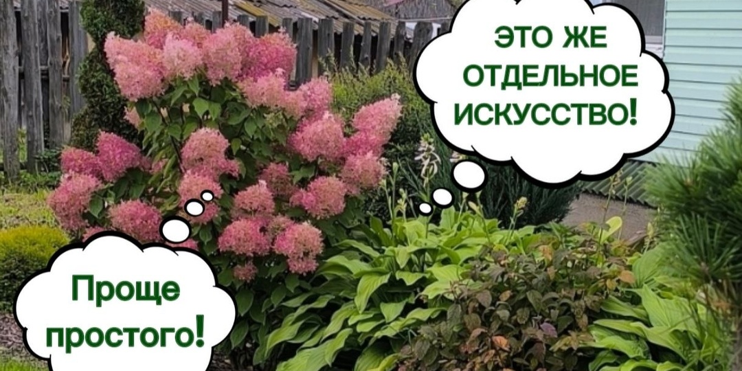 Доброе утро! Режьте на здоровье