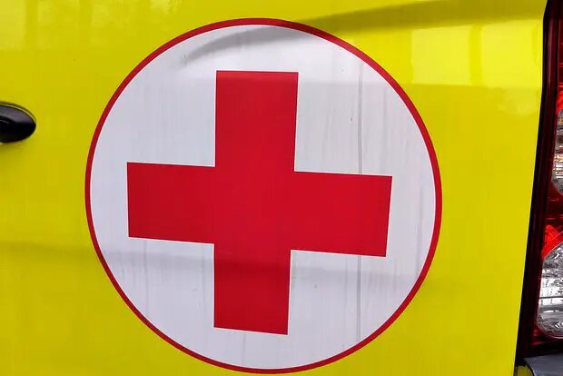    Источник: lenta.ru/ София Васильева