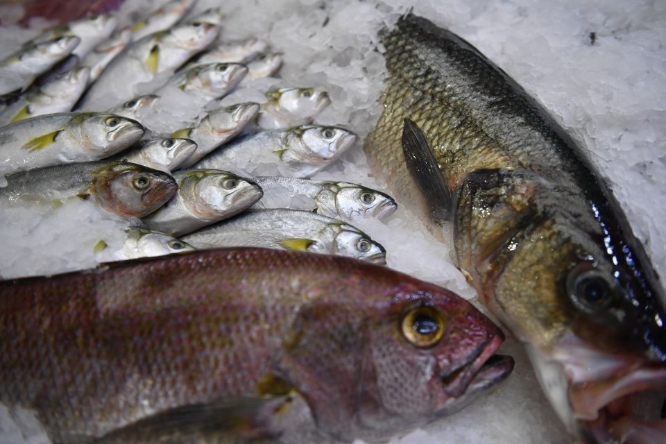    В Туркменистан экспортировали новую партию донской мороженой рыбы. Виктор ГУСЕЙНОВ