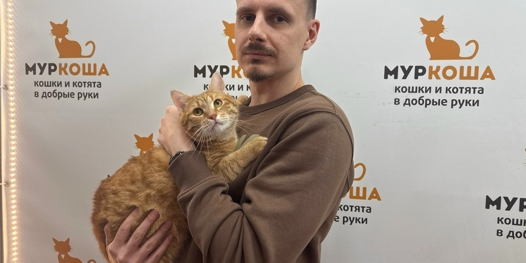 Мультяшкин: надежда обретает дом