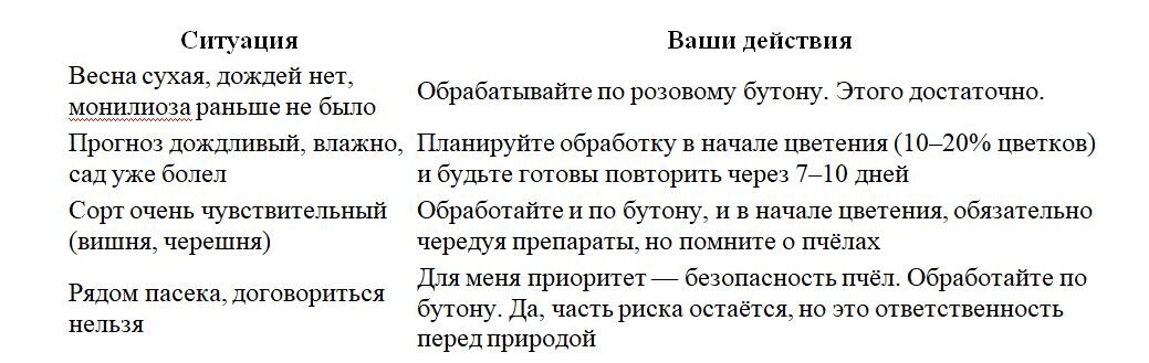Таблица и фото Натальи Мироновой