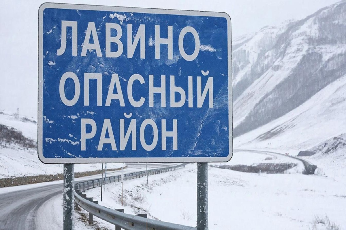    Фото: коллаж RuNews24.ru