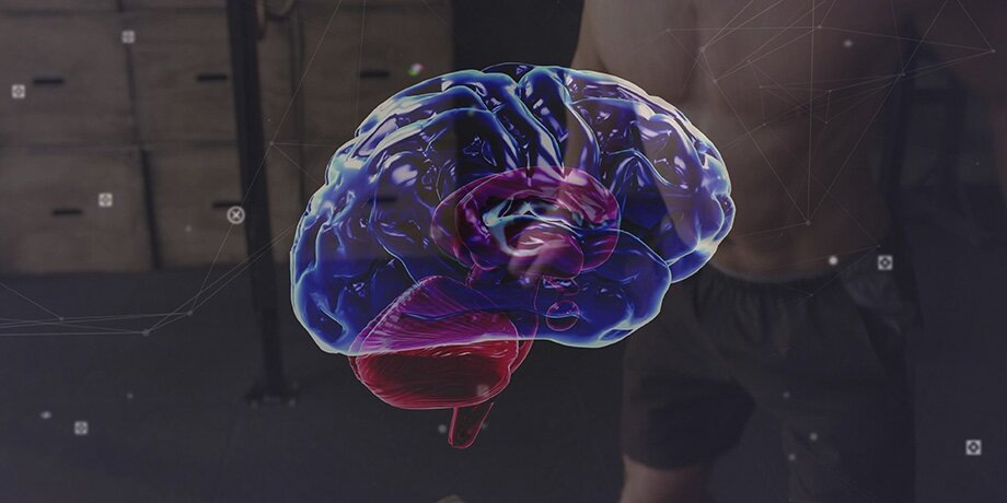    Фото: 123RF.com/vectorfusionart