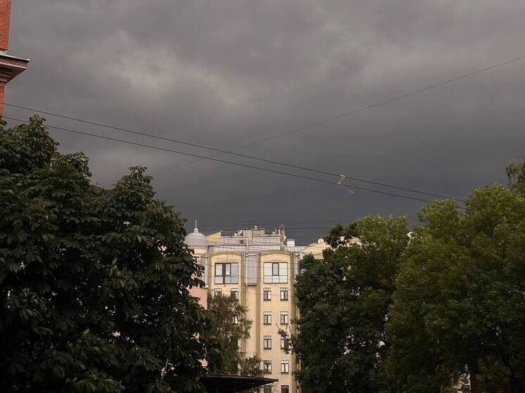     Температура опустится до +6...+8 градусов. Фото: архив МК в Питере