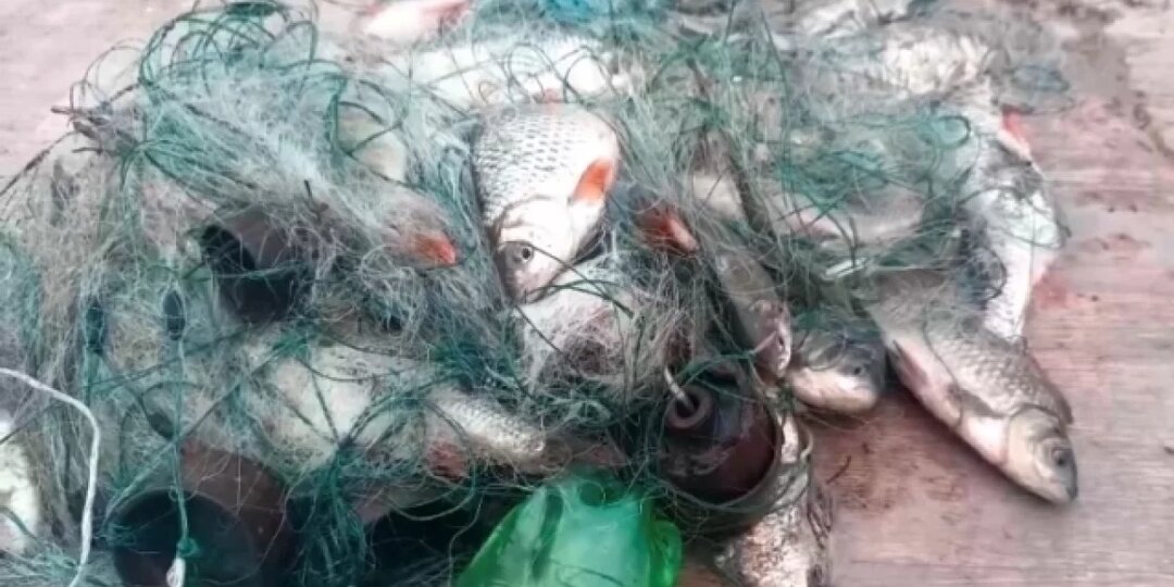 Браконьеров задержали на Алтае