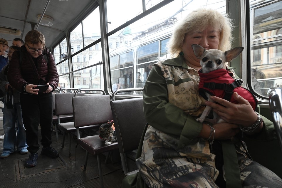    Многие горожане имеют право на льготный проездной. Алексей БУЛАТОВ