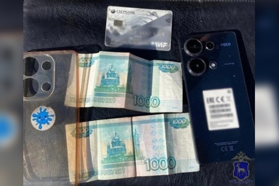    В Приволжском районе вынесли приговор мужчине который похитил чужой телефон фото: ГУ МВД России по Самарской области