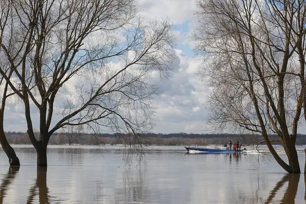    Источник: lenta.ru/ Марина Латышева