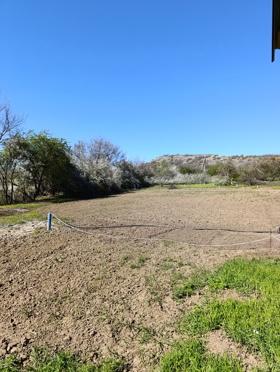 Возле скважины убрано, в меру моих сил, конечно. 