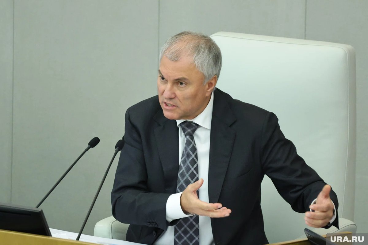     Володин встретится с коллегами из парламента КНДР