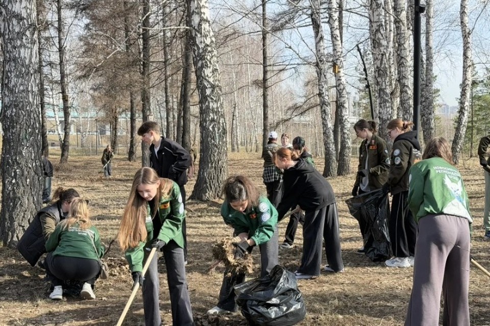    Мусор, листву и сухие ветки собрали для вывоза на полигоны. Фото: МАКС-канал Максима Кудрявцева