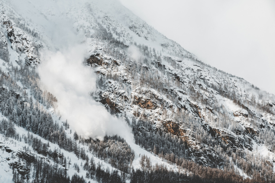    Shutterstock/FOTODOM