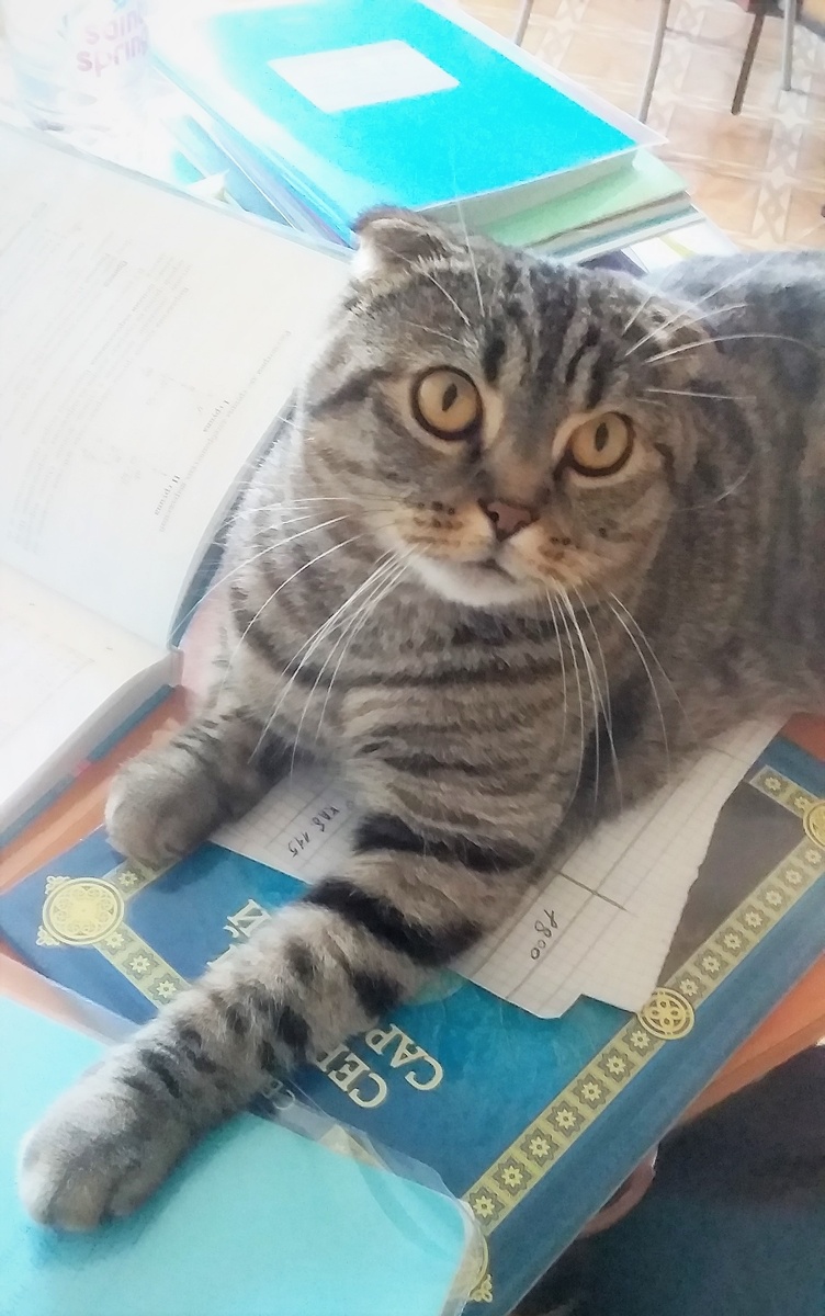 Благодарю за фото Надежду ГРИШИНУ)