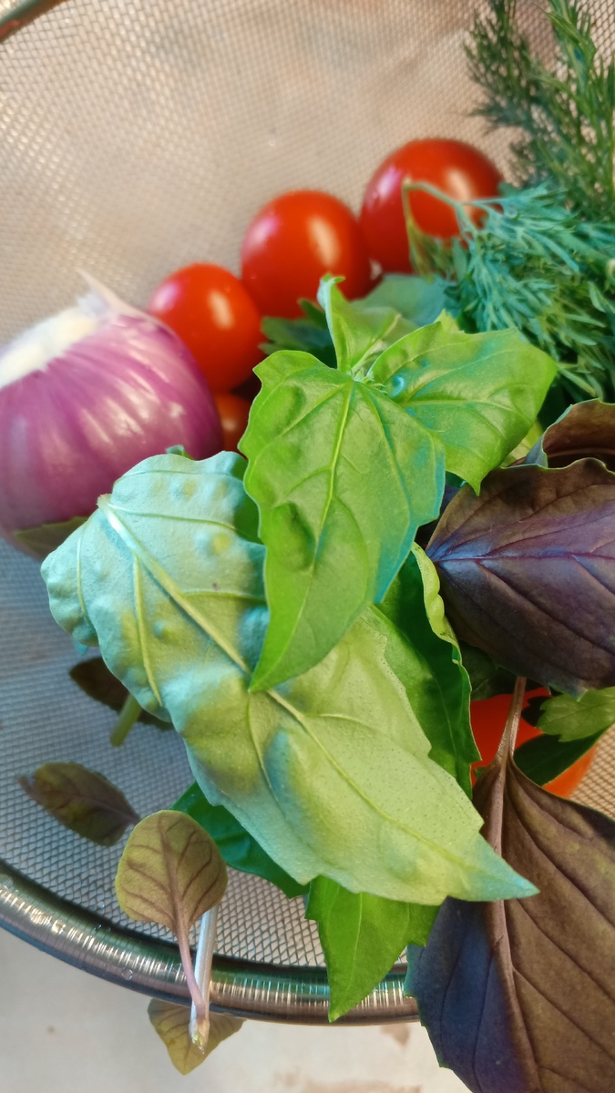 фото автора: набор продуктов для салата