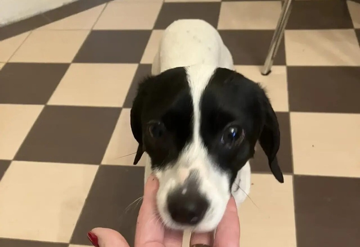    Фото: https://vk.com/wall3559730_2549