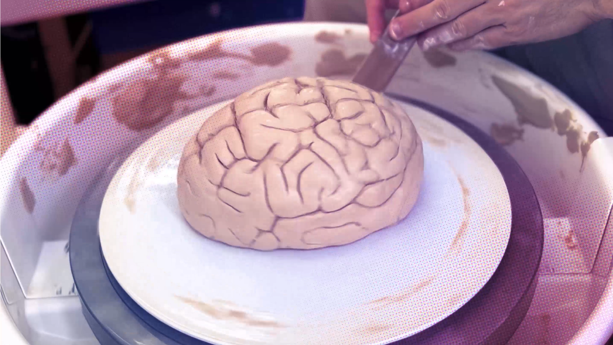 Мозг сохраняет невероятную пластичность на протяжении всей жизни, позволяя нам учиться и адаптироваться к меняющейся среде.