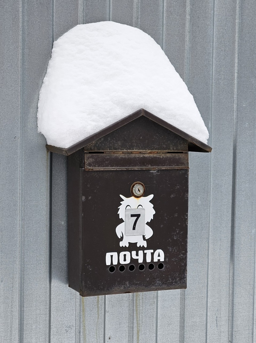    В почтовом ящике мама пропавшей девочки увидела требование собирать три миллиона рублей. Владимир ВЕЛЕНГУРИН