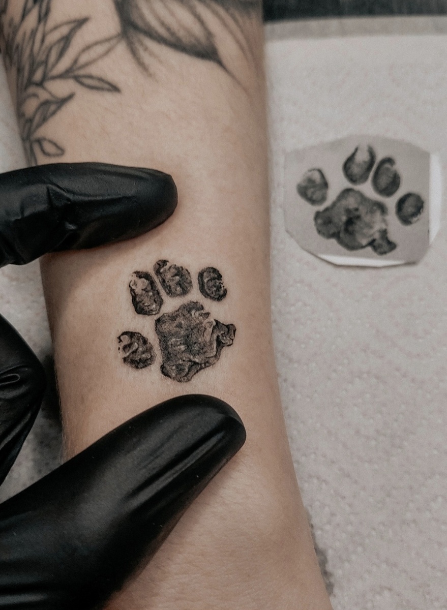 Свежая лапка