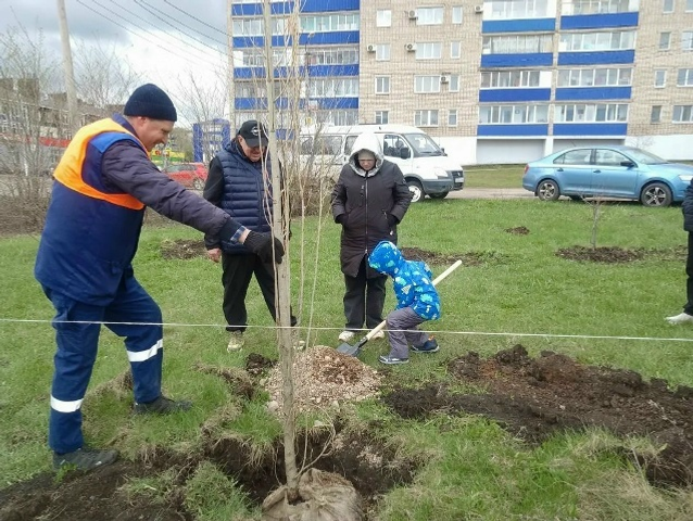 Липы, тополя и сотни рук: как Кумертау стал зеленее всего за два часа