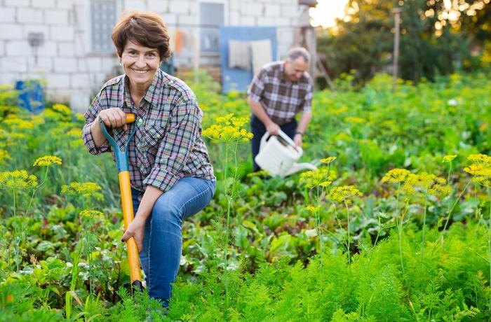 Обложка © Shutterstock / FOTODOM / Caftor