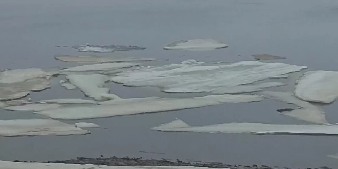 В Прикамье нашли тело человека после сообщения о крушении лодки с 3 людьми