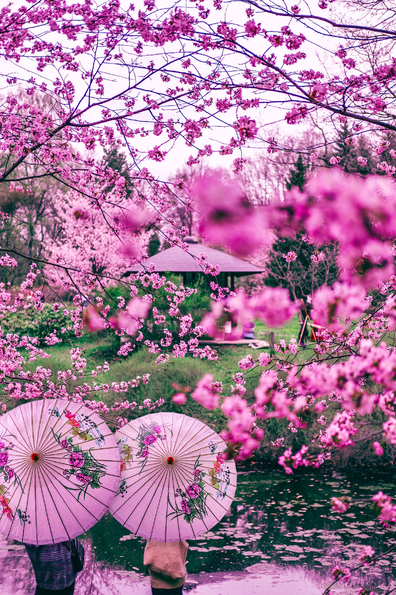 Автор статьи и фотограф: Алексей Моисеев / Фотозаписки партизана / @partyzzzan