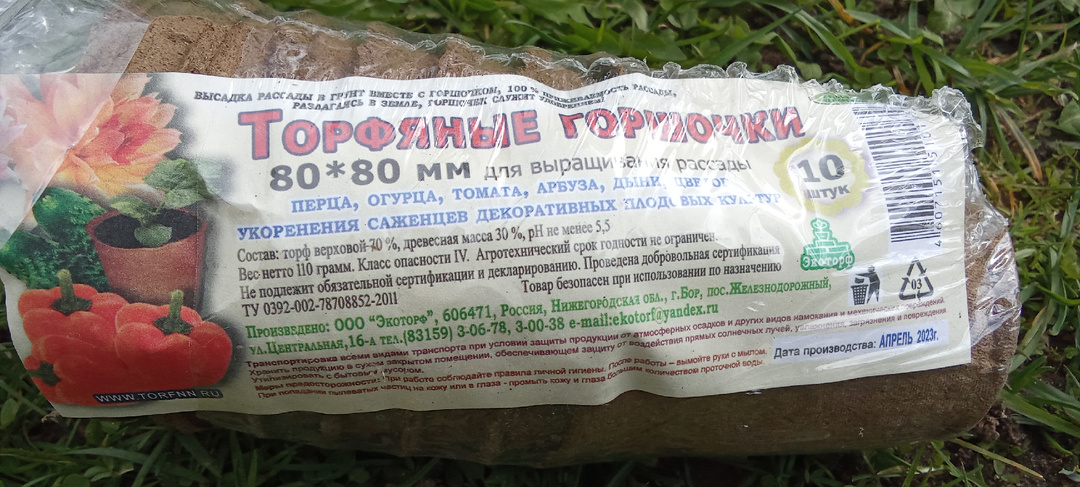 Рассада в торфяных горшочках: стоит выращивать или нет?