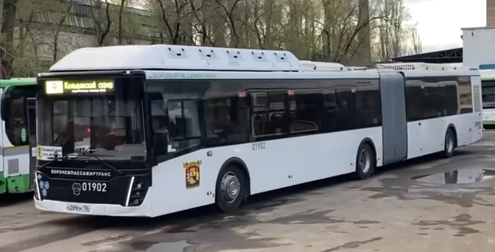 Автобусы-гармошки начали ездить в Воронеже