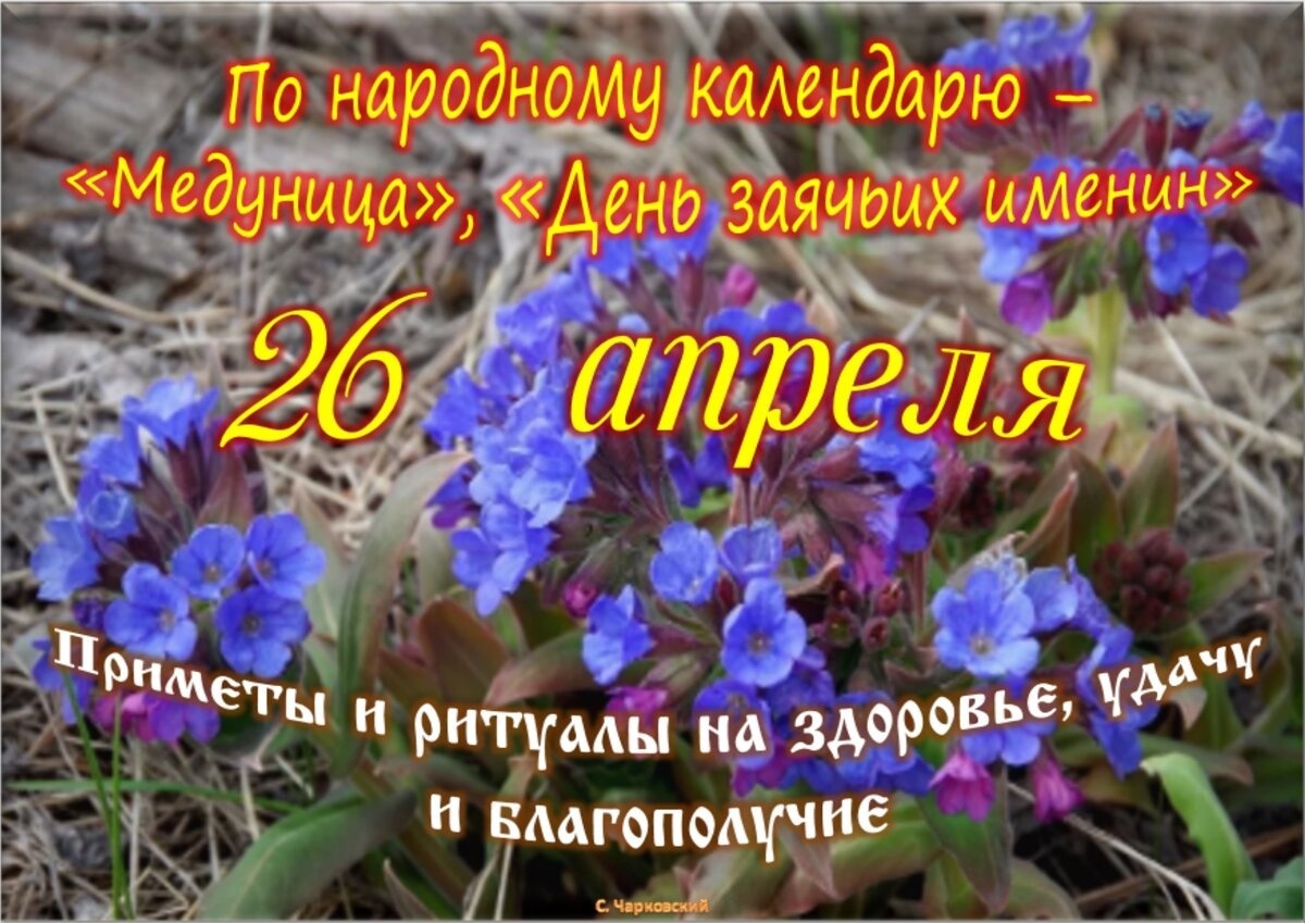 Встречаем новый день