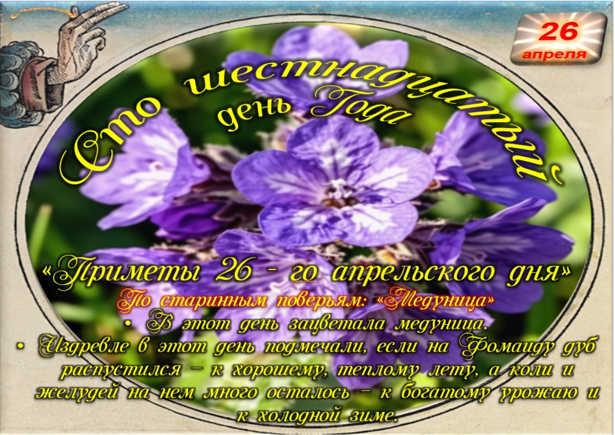 Встречаем новый день