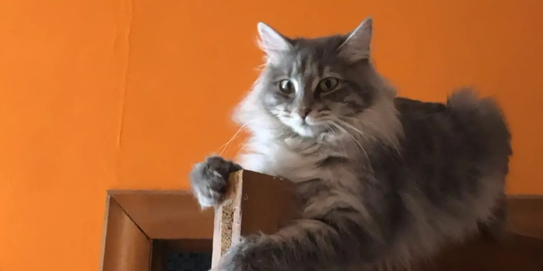 Я выхожу на минуту. Эмма уже на столе