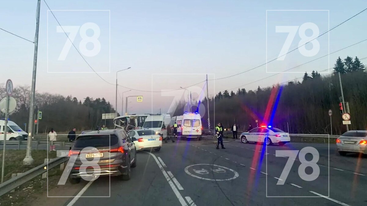    Фото: 78.ru