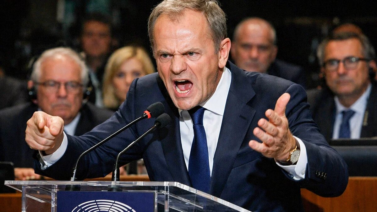    Фото: Коллаж Царьграда