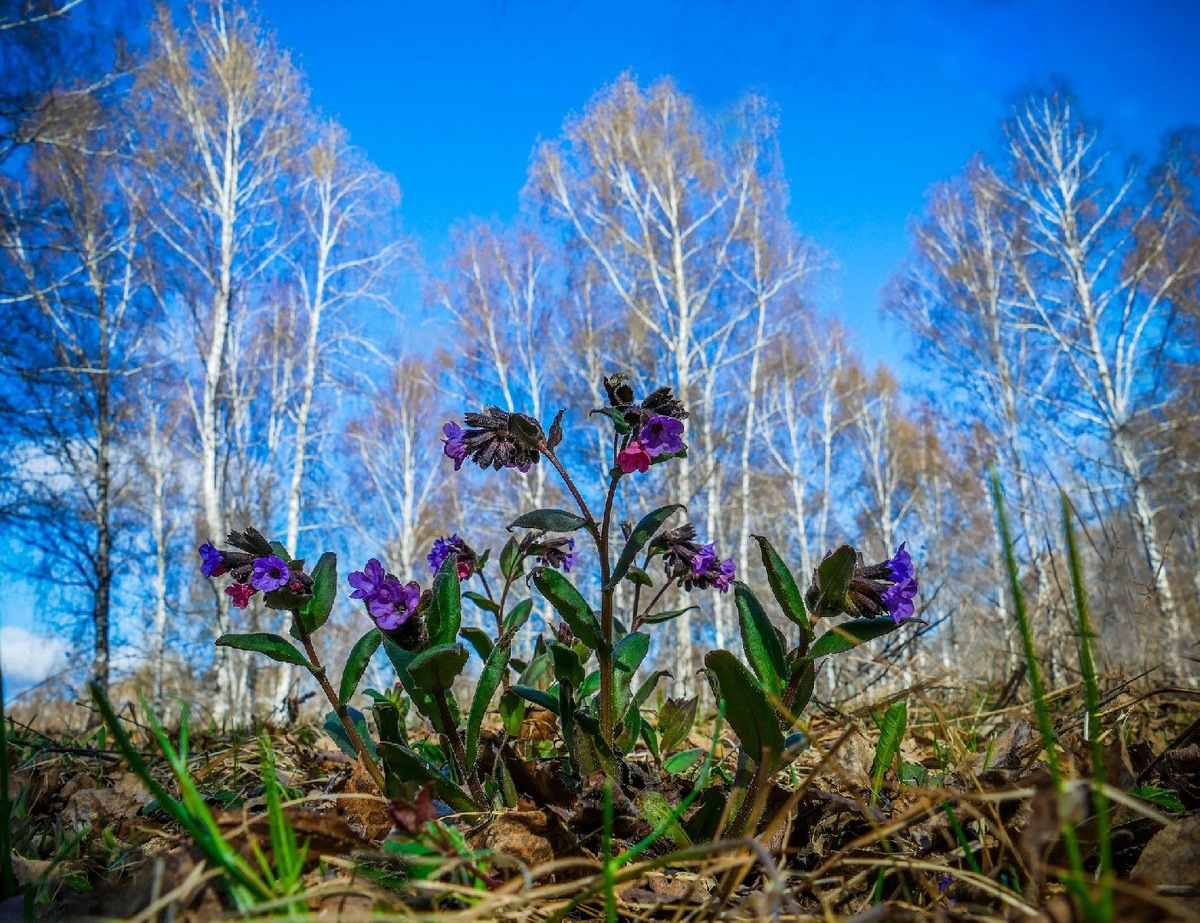    Фото: iStock/ Rinateus