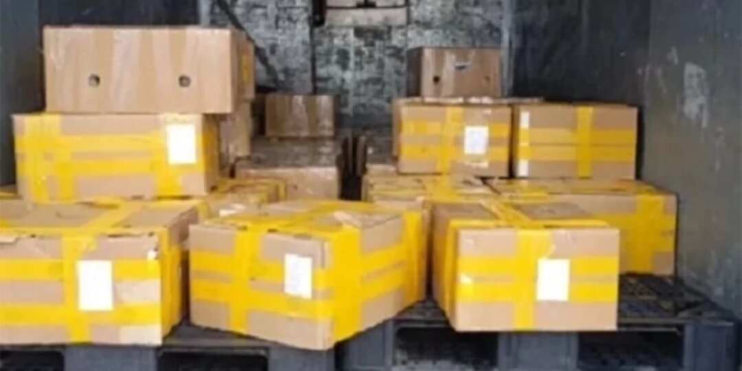 На Алтай не смогли провезти партию куриных лапок