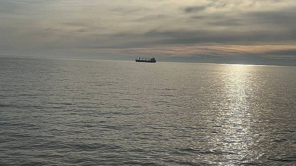    Фото: телеканал «Краснодар»