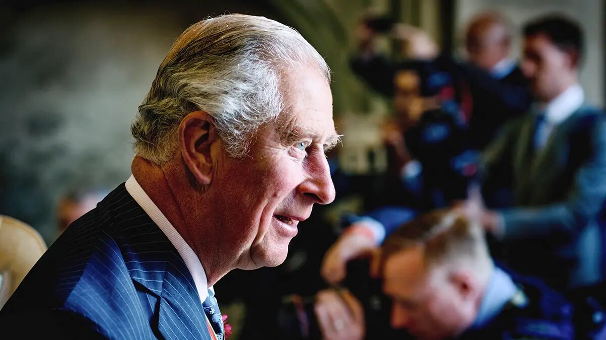    Источник: vm.ru/ Виктор Павлов