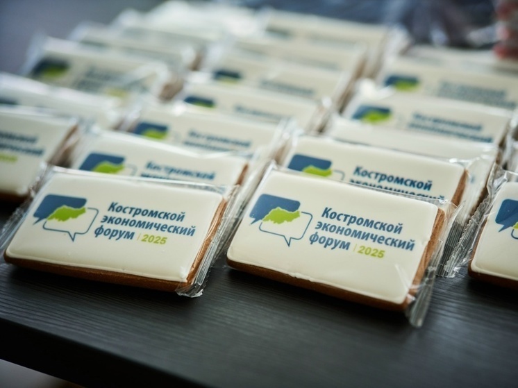     фото: Мой бизнес | Костромская область / ВК